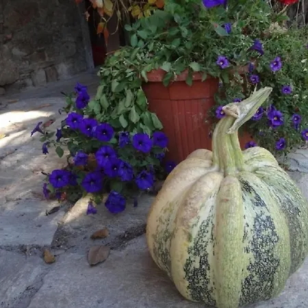 Pensjonat I Aneta *