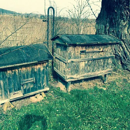 Guest house I Aneta